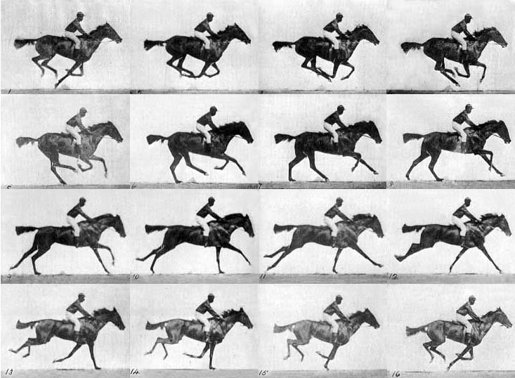Eadweard Muybridge race horse gallop,