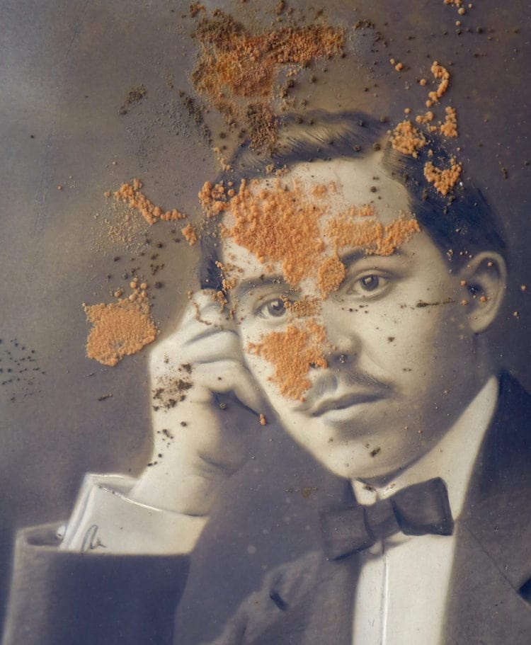 Retrato de Juan Martínez, con ataque de hongos