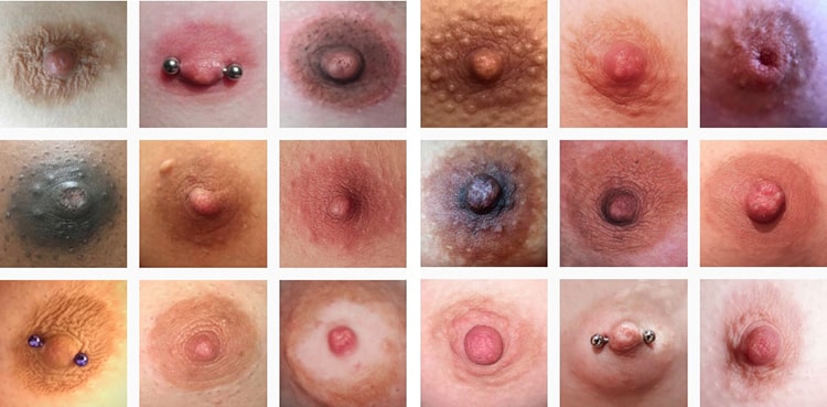 Mosaico creado con imágenes extraídas del Instagram Genderless Nipples