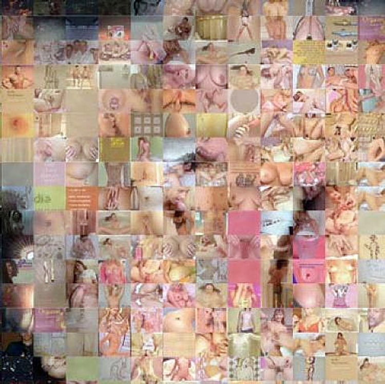 Joan Fontcuberta – Googleramas, 2005.