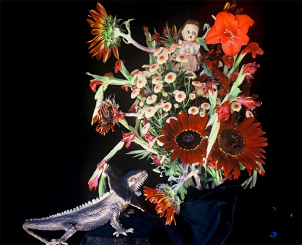 “Flowers Paradise”, 2013 – Nobuyoshi Araki.